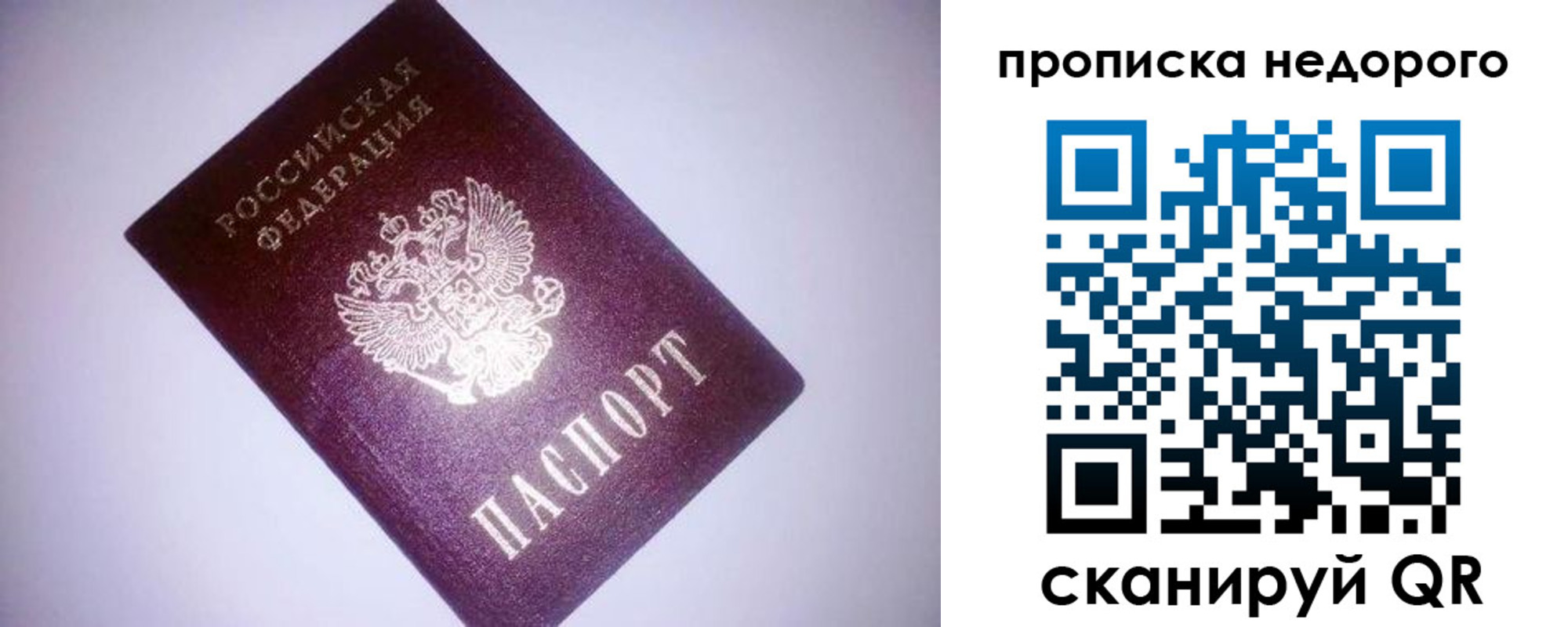 прописка для школы в Фокино
